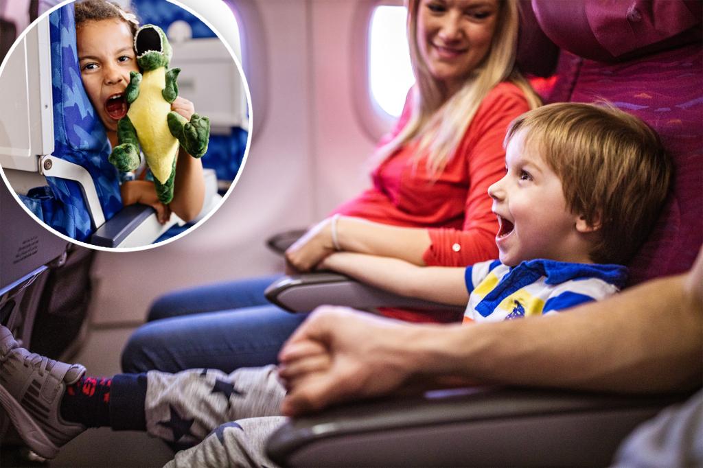 Passenger sends social media SOS from 6-hour flight after baby won't stop hitting her seat: 'Ready to go full tilt Karen'