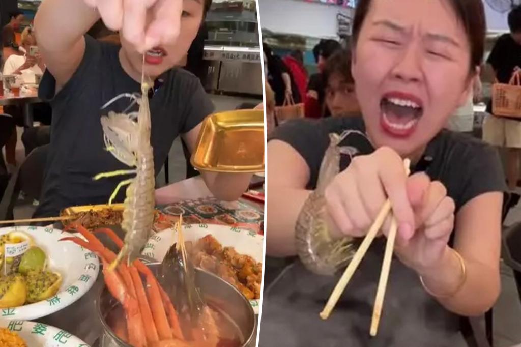 Live shrimp attacks restaurant in wild video: 'He wasn't going out without a fight'